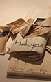 Halcyon