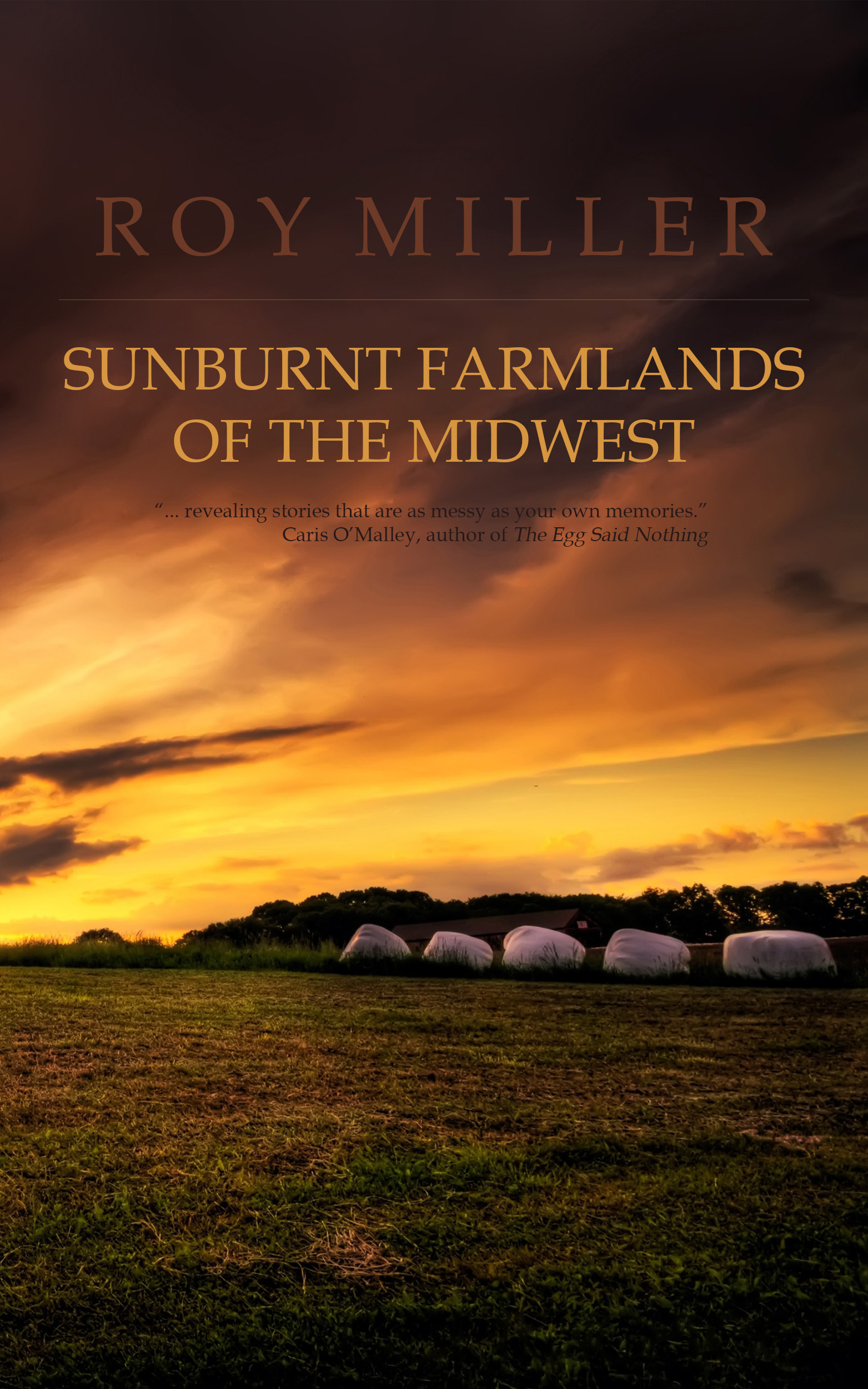 Book Cover
